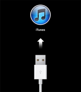 iPad просит iTunes